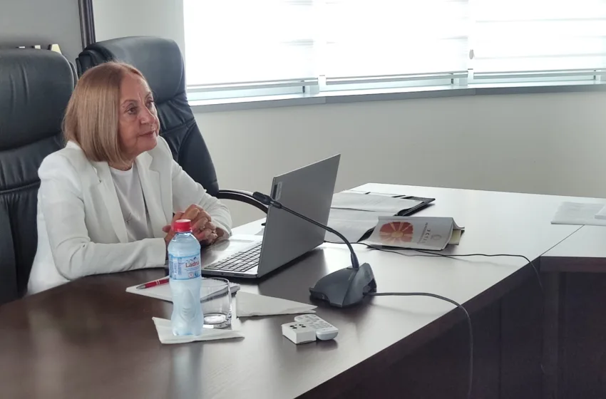  Закани кон претседателката на Уставен суд Добрила Кацарска