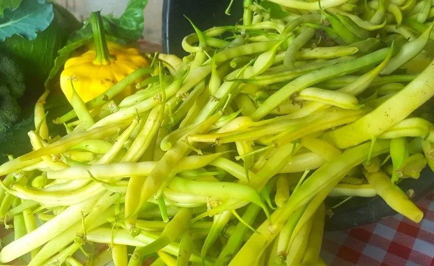  ХРВАТСКА: Килограм боранија некаде чини како три килограми свински врат