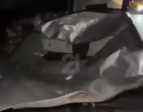 (ВИДЕО) Синоќа автомобил удри во животно кај Стенковец