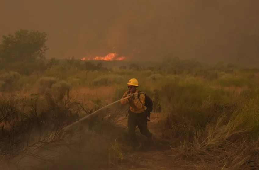  ПОЖАР ГОЛТА СЕ ПРЕД СЕБЕ: Издадена наредба за евакуација северозападно од Лос Анџелес (ФОТО/ВИДЕО)