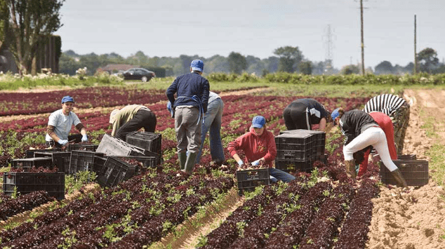  МЕПСО со предупредување за замјоделците!