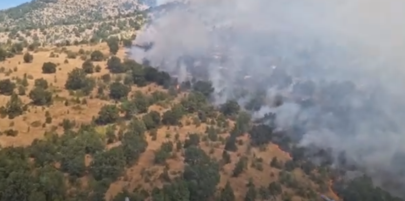 Полициските хеликоптери фрлија над 110 тони вода врз пожарите во Старо Нагоричане и светиниколско