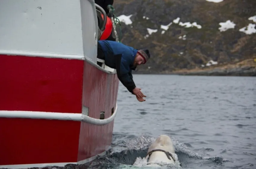 Најпознатиот руски шпион сепак не e убиен? Еве што покажа обдукцијата!