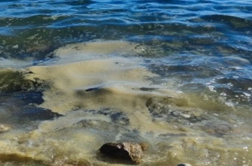  67 дена пловел во ледено море: Рибари го спасиле!