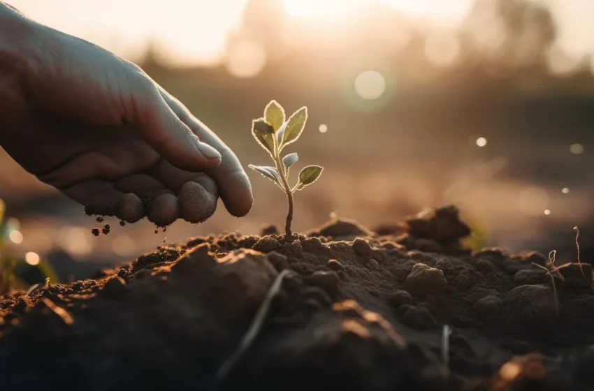  Ќе се засукаат ракавите: Овие градоначалници утре ќе садат садници како симбол за Меѓународниот ден на толеранцијата