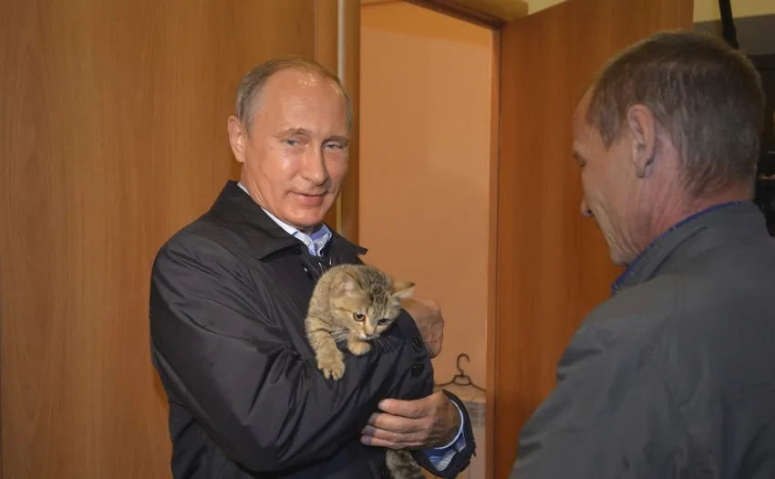  Умре мачорот на Путин